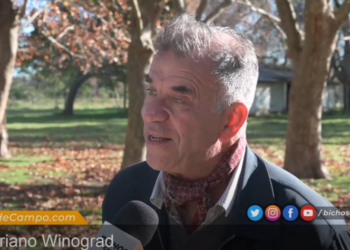 ¿Qué es la “rurbanidad”? Según Mariano Winograd, una nueva oportunidad de hacer una producción inteligente en los confines de las ciudades