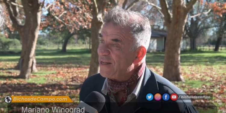 ¿Qué es la “rurbanidad”? Según Mariano Winograd, una nueva oportunidad de hacer una producción inteligente en los confines de las ciudades