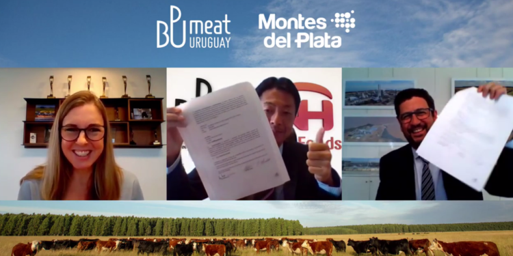 Uruguay va para adelante: Una papelera acordó con un frigorífico de capitales japoneses crear la primera certificación de “carne carbono neutral”