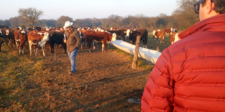 Ocho gráficos para entender porqué el cierre de las exportaciones de carne generará una destrucción de riqueza que afectará a trabajadores y consumidores