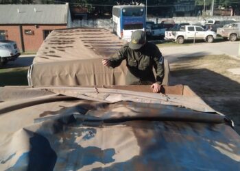 Cosa de locos: Gendarmería incautó soja sin declarar a un valor de 126.500 $/tonelada