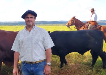 Martín Helbig se crió en los corrales y ahora trabaja para potenciar los Brangus y Braford en Misiones