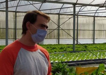 La huerta del abuelo y el oficio del padre convencieron a Damián Scelza de producir en hidroponia. La llegada de sus hijos, a hacerlo sin agroquímicos y con agua de lluvia