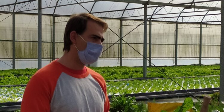 La huerta del abuelo y el oficio del padre convencieron a Damián Scelza de producir en hidroponia. La llegada de sus hijos, a hacerlo sin agroquímicos y con agua de lluvia