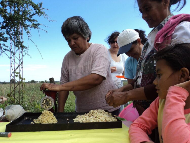 La ONG INCUPO relanzó la publicación actualizada de “El Monte nos da comida”, un aporte al reconocimiento de nuestra identidad alimentaria