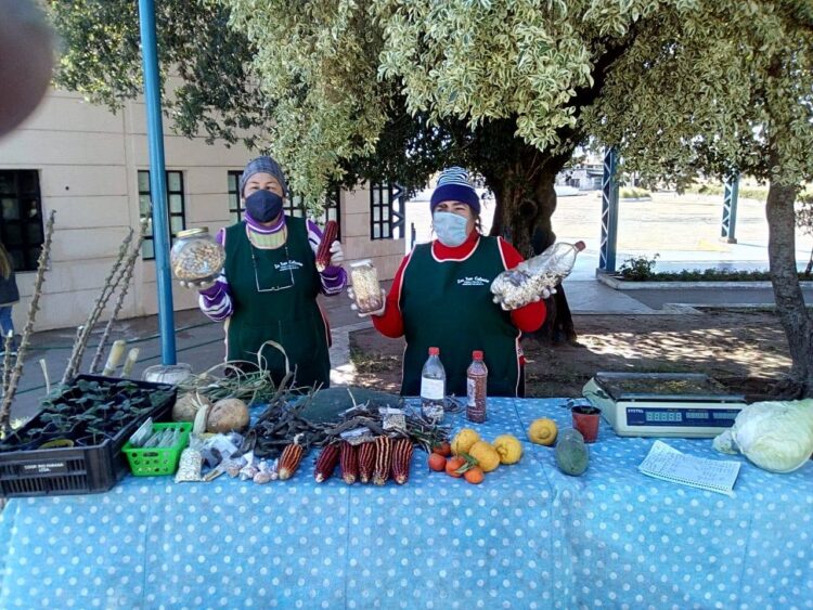 La ONG INCUPO relanzó la publicación actualizada de “El Monte nos da comida”, un aporte al reconocimiento de nuestra identidad alimentaria