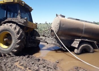 Datos oficiales: El sector agropecuario argentino no logró recuperar el nivel de actividad económica prepandémico