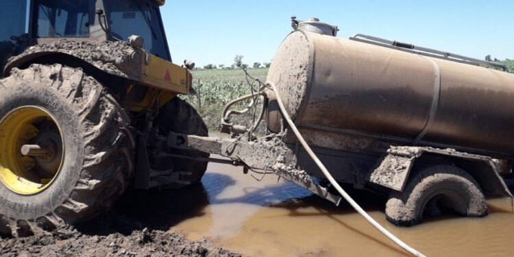 Datos oficiales: El sector agropecuario argentino no logró recuperar el nivel de actividad económica prepandémico