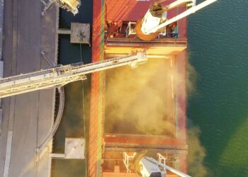 Nuevo baldazo de agua fría con un informe del USDA que proyecta exportaciones ucranianas de maíz muy superiores a las inicialmente previstas