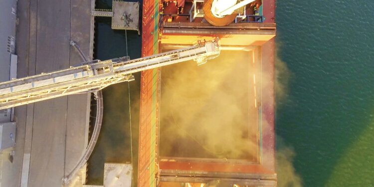 Nuevo baldazo de agua fría con un informe del USDA que proyecta exportaciones ucranianas de maíz muy superiores a las inicialmente previstas