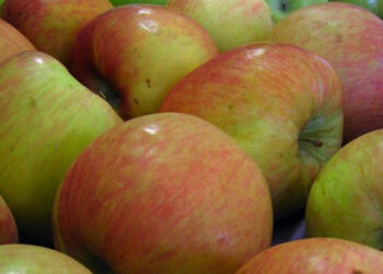 Extendieron hasta fines de octubre el plazo para habilitar Centros de Tratamientos Cuarentenarios  por el “contexto excepcional en relación con el coronavirus”