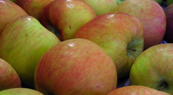 Extendieron hasta fines de octubre el plazo para habilitar Centros de Tratamientos Cuarentenarios  por el “contexto excepcional en relación con el coronavirus”