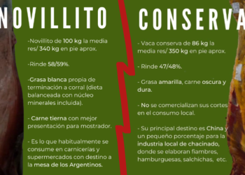 Leonardo Rafael: “Ningún consumidor argentino llevará a su cocina o parrilla cortes de vaca conserva”
