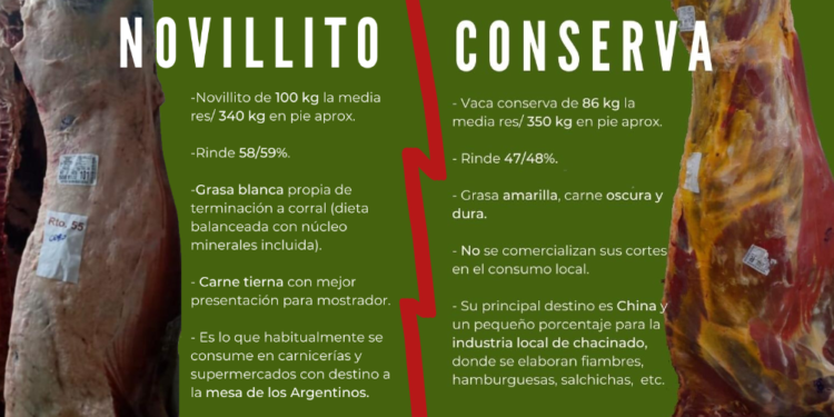 Leonardo Rafael: “Ningún consumidor argentino llevará a su cocina o parrilla cortes de vaca conserva”