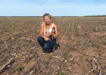 Con 26 años Micaela Guzowski trabaja en el campo familiar y presta servicios agrícolas:  “Si nos dieran más posibilidades, podríamos crecer mucho más”