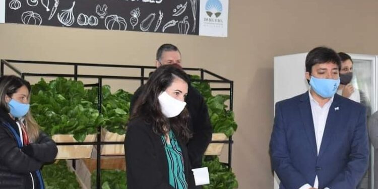 El exitoso caso de la cooperativa agroecológica de Daireaux que generó una ganancia mensual de 3500 pesos para cada socio