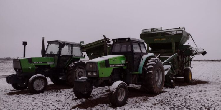 Las mejores diez fotos de la nevada que transformó los campos de San Luis y Córdoba en una postal estadounidense