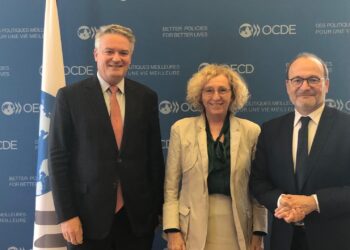 OCDE advierte que el incremento de los subsidios agropecuarios “distorsiona el mercado y perjudica tanto al ambiente como a la seguridad alimentaria”