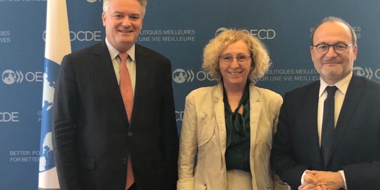 OCDE advierte que el incremento de los subsidios agropecuarios “distorsiona el mercado y perjudica tanto al ambiente como a la seguridad alimentaria”