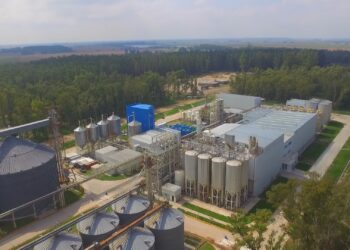 Argentina sigue sin poder encontrarle la vuelta para generar valor agregado en origen con el maíz