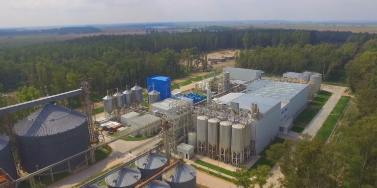 Argentina sigue sin poder encontrarle la vuelta para generar valor agregado en origen con el maíz