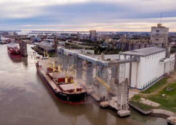 Aparecieron importantes “premios” para el maíz en Bahía Blanca por la bajante del río Paraná