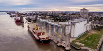 Aparecieron importantes “premios” para el maíz en Bahía Blanca por la bajante del río Paraná