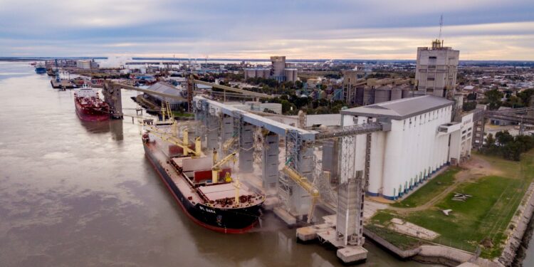 Aparecieron importantes “premios” para el maíz en Bahía Blanca por la bajante del río Paraná