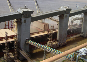 En el mes de mayo la liquidación de agrodivisas registró un récord histórico de 3545 millones de dólares