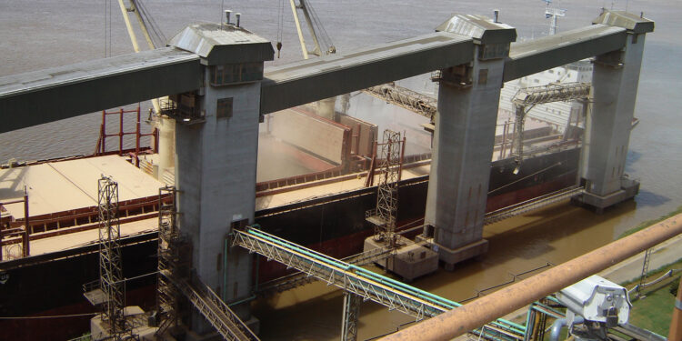 En el mes de mayo la liquidación de agrodivisas registró un récord histórico de 3545 millones de dólares