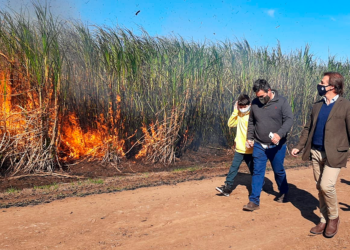 Hay algo que está terriblemente mal en esta foto oficial ¿Qué es?