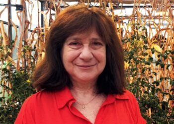 Raquel Chan, la científica que desarrolló los primeros transgénicos argentinos, muestra decepción por tanta resistencia a estos avances. “Como consuelo, tampoco me entiendo bien con los antivacunas o con los terraplanistas”