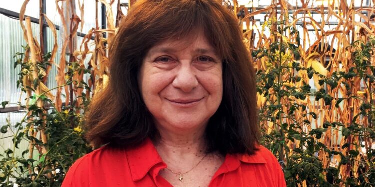 Raquel Chan, la científica que desarrolló los primeros transgénicos argentinos, muestra decepción por tanta resistencia a estos avances. “Como consuelo, tampoco me entiendo bien con los antivacunas o con los terraplanistas”