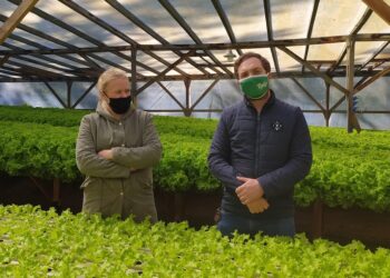 La historia de amor entre Ivana y Hugo dio frutos, pero su pequeña hija no nació de un repollo sino de una lechuga hidropónica