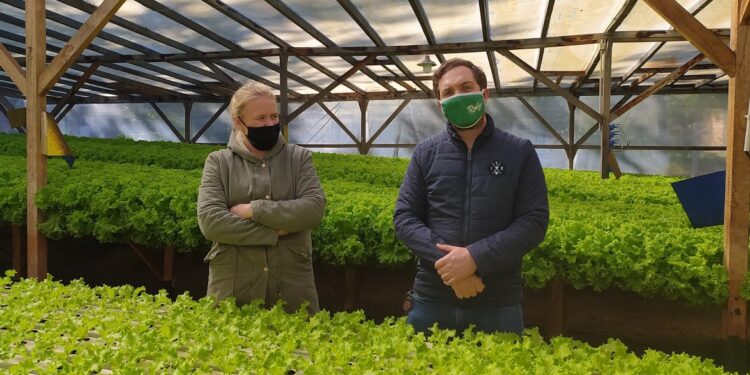 La historia de amor entre Ivana y Hugo dio frutos, pero su pequeña hija no nació de un repollo sino de una lechuga hidropónica