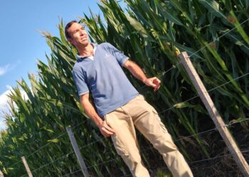 David Roggero, el presidente de Aapresid, advierte sobre la ‘maización’, que sería la ‘sojización’ a la inversa. “Eso tampoco es bueno; los desequilibrios son malos”, avisa