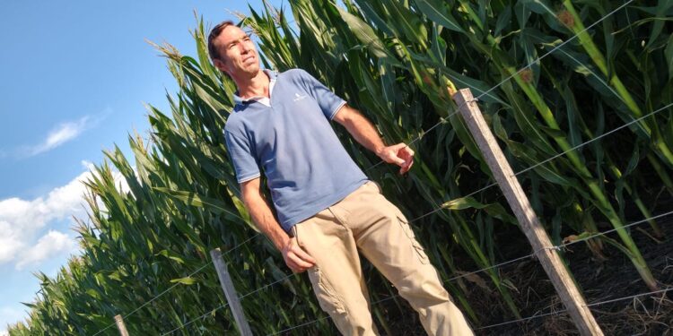 David Roggero, el presidente de Aapresid, advierte sobre la ‘maización’, que sería la ‘sojización’ a la inversa. “Eso tampoco es bueno; los desequilibrios son malos”, avisa