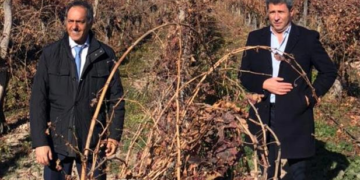 Scioli adelantó que ya está todo listo para que Argentina pueda volver a exportar a Brasil uvas de mesa sin bromurar