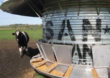 No es cuestión de libre interpretación: El Senasa aclara cuáles son las condiciones para ser reinscripto como proveedor de cuota Hilton