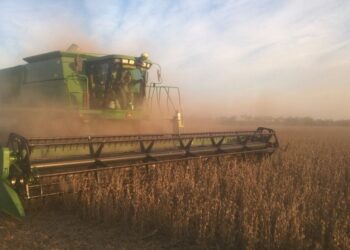 Para reflexionar: Finalizó la cosecha argentina de soja con un rinde promedio que no logró superar los 27 qq/ha