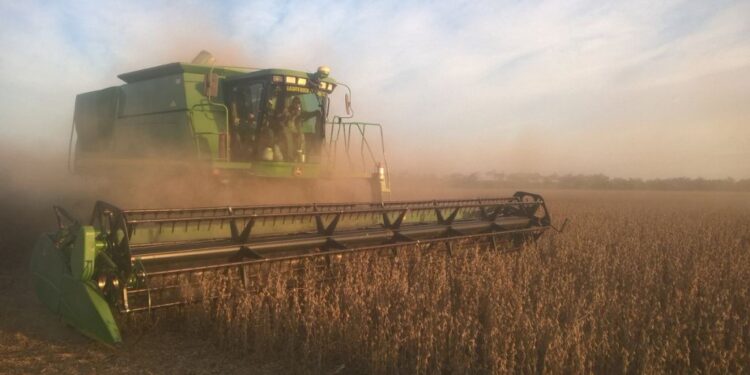 Para reflexionar: Finalizó la cosecha argentina de soja con un rinde promedio que no logró superar los 27 qq/ha