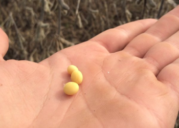 Nada como un buen “susto” para recibir una lección contundente sobre comercialización agrícola