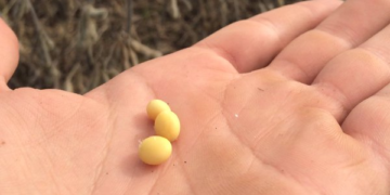 Nada como un buen “susto” para recibir una lección contundente sobre comercialización agrícola
