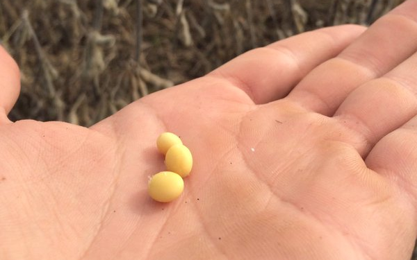 Nada como un buen “susto” para recibir una lección contundente sobre comercialización agrícola