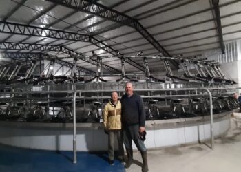 Fernando Cuadrado hizo una inversión redonda: Incorporó un “tambo calesita” que les permite ordeñar 1000 vacas en un tercio del tiempo que les llevaba antes