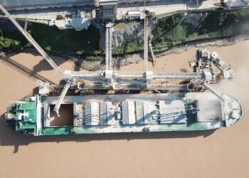 Gracias a la soja las exportaciones argentinas de mayo fueron las más elevadas desde junio de 2014