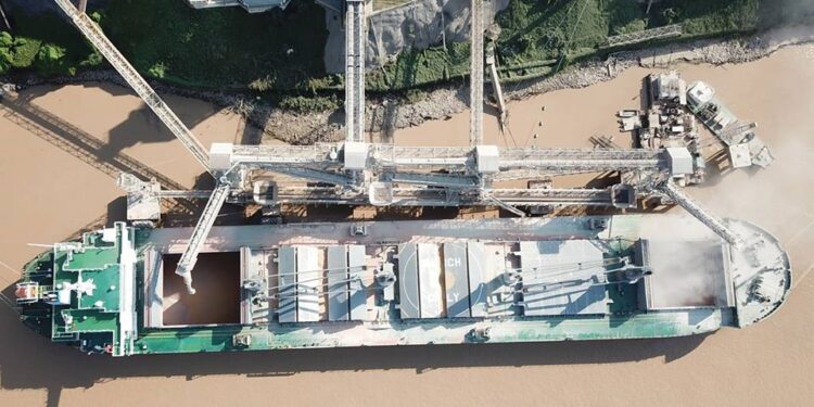 Gracias a la soja las exportaciones argentinas de mayo fueron las más elevadas desde junio de 2014