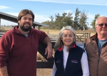 Los Manfroi hacían agricultura cerca de Venado Tuerto, hasta que Federico convenció a su familia de dedicarse a la cría de ovejas Hampshire down