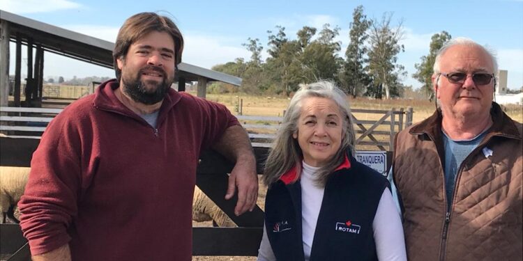 Los Manfroi hacían agricultura cerca de Venado Tuerto, hasta que Federico convenció a su familia de dedicarse a la cría de ovejas Hampshire down