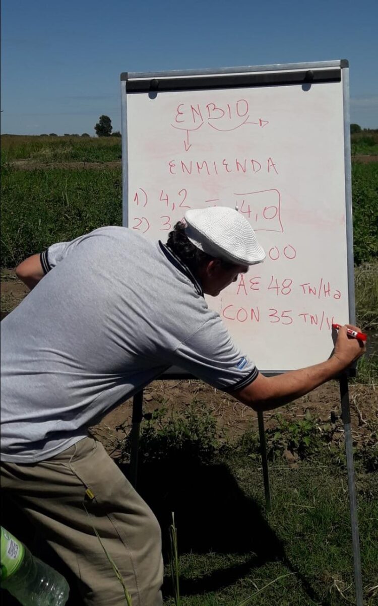 La familia Cardinali escuchó a César Gramaglia, del INTA, y juntos lograron la primera papa agroecológica del país: Hoy igualan los rindes de la producción convencional